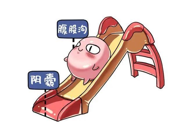 为什么小男孩会得隐睾? - 知乎