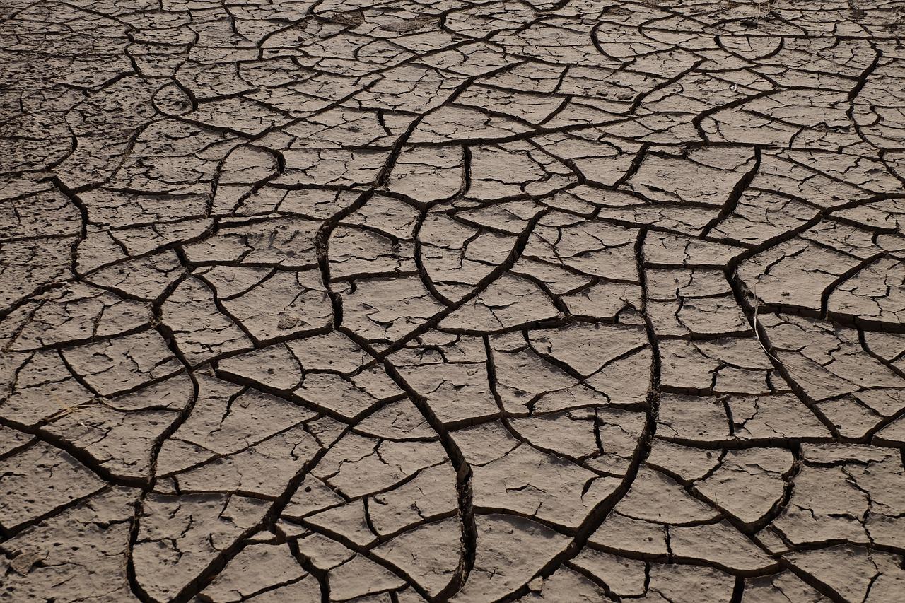 壁纸起皮如何清除