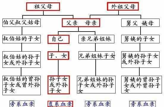 儿媳妇可以和公公结婚吗