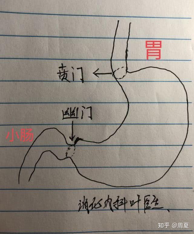 老年人感染幽门螺杆菌该怎么办?需要根除吗?该如何预防和治疗? - 知乎