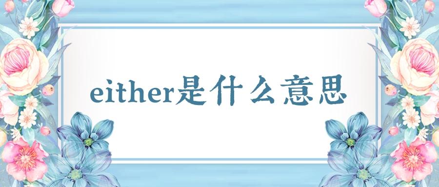 either是什么意思