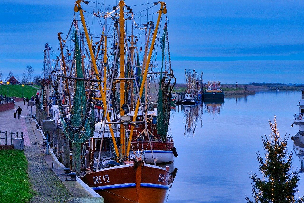 2. 远洋地段分析