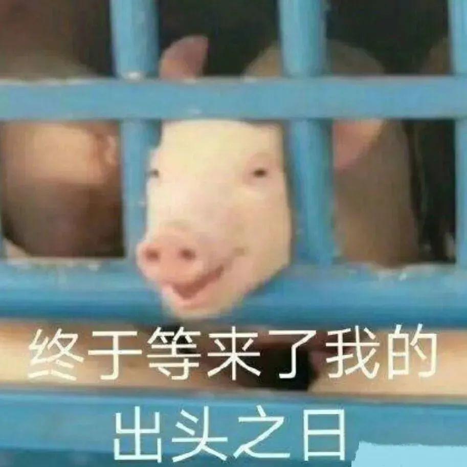 156