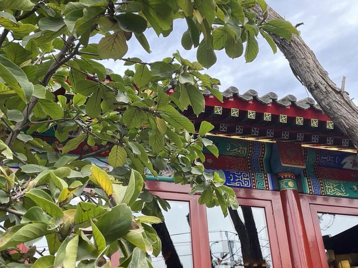 农历六月六日,“晒书日”从何而来?史书里故事真不少 - 知乎