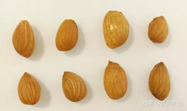 带你识别桃仁 - 知乎