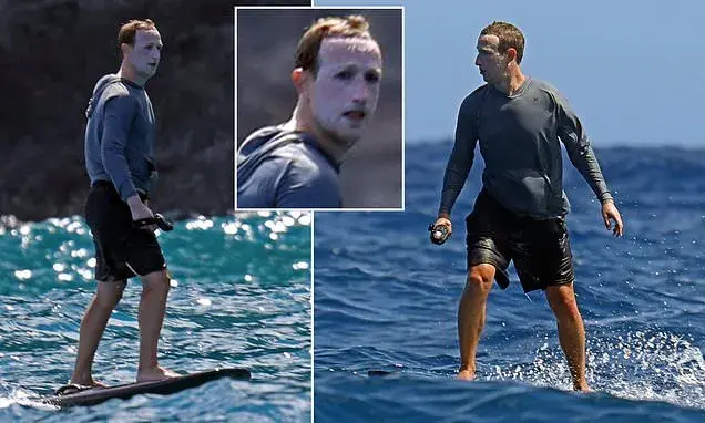 uk/news/article-8541819/mark-zuckerberg-pictured-lashings
