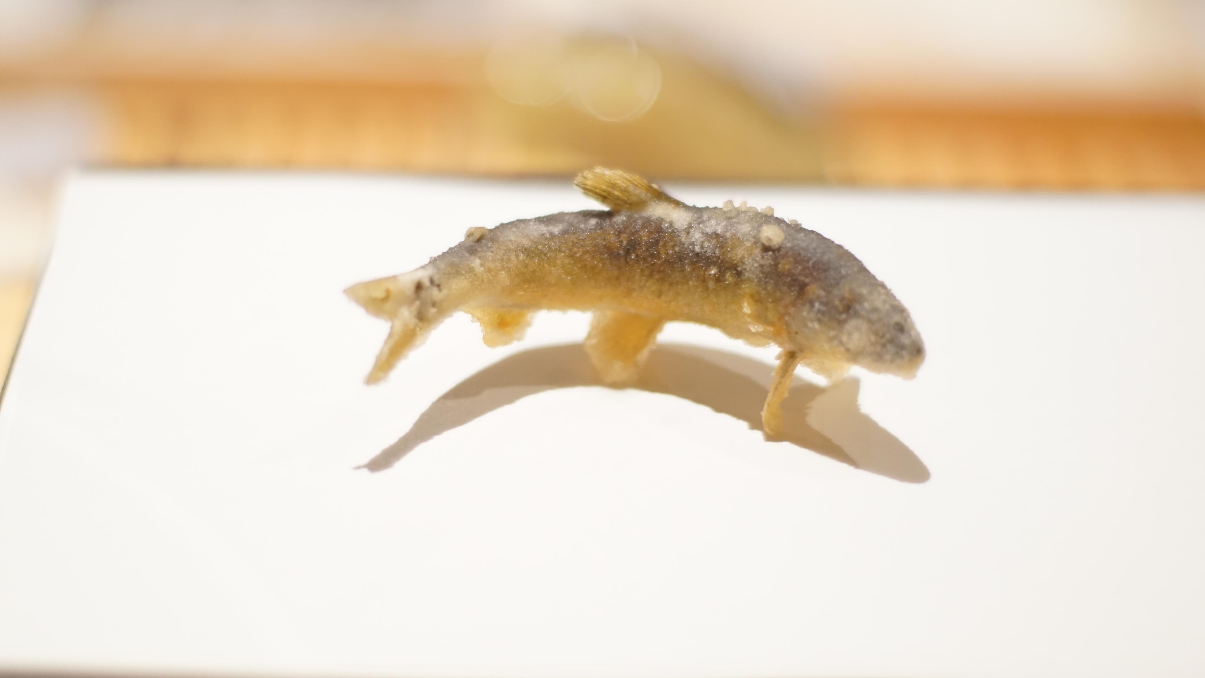 海错图爱情笔记 香鱼 夏天溪涧里有体香 知乎