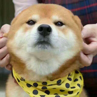Zhihu profile picture for @argument