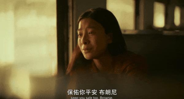 《心犬相随》现象级票房黑马，太好哭了