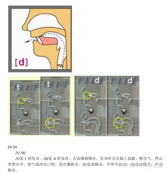 48個國際音標發音舌位圖