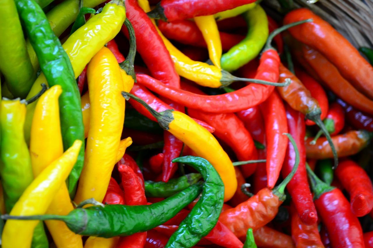 温对什么牌子好