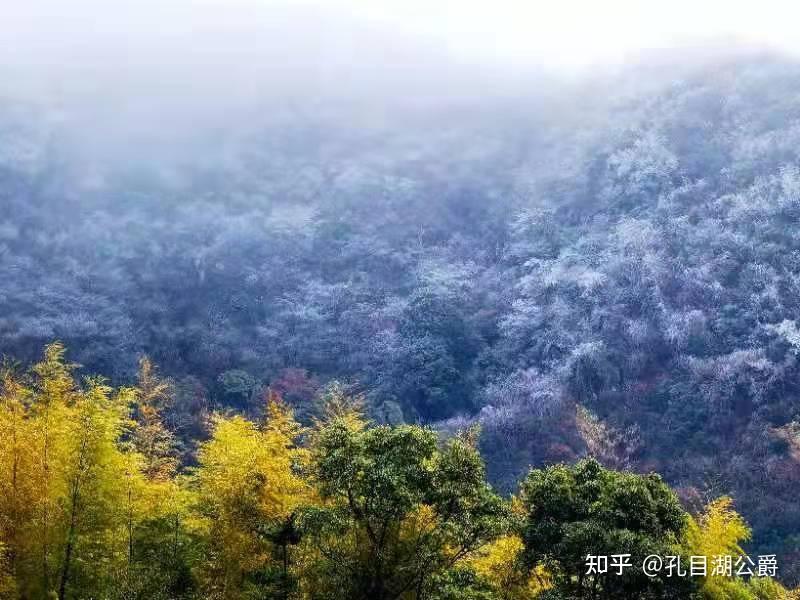 梅岭雪景图片