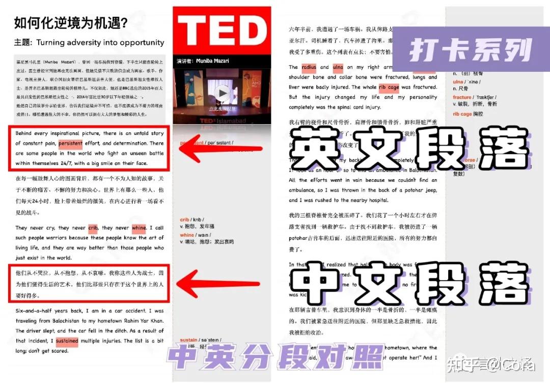 TED英语演讲新电子版｜注释笔记，白版底稿，Word原稿，综合合辑，50/100篇合集 - 知乎