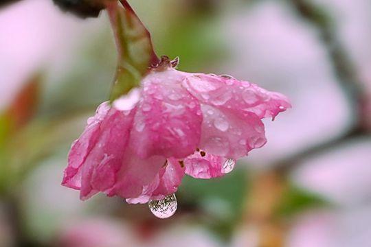 湖北今日雨勢猛烈局地有大雨氣溫走低涼意顯