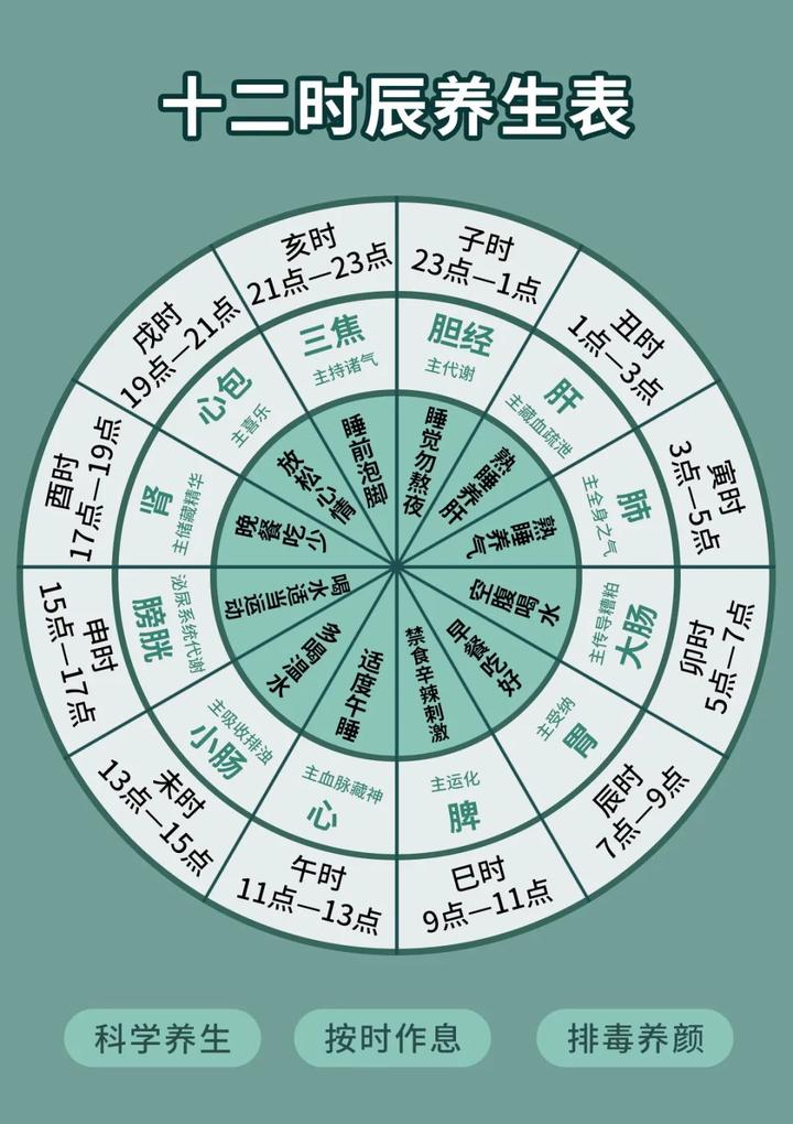 必须掌握的十二时辰养生表 - 知乎