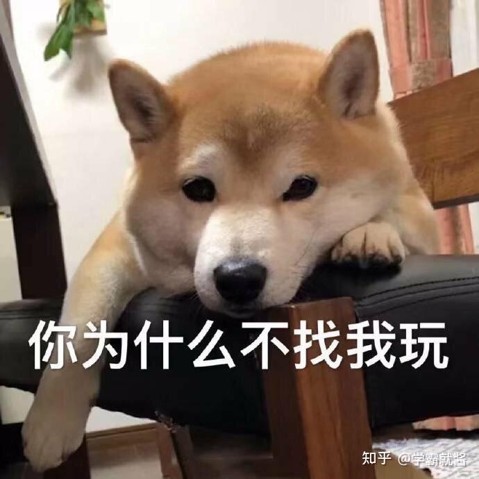 开学新生沙雕文案图片,开学新生沙雕文案图片大全