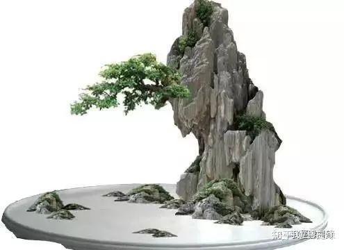 世界上最贵盆栽,一盆就是一座房子-最贵的盆景是什么品种