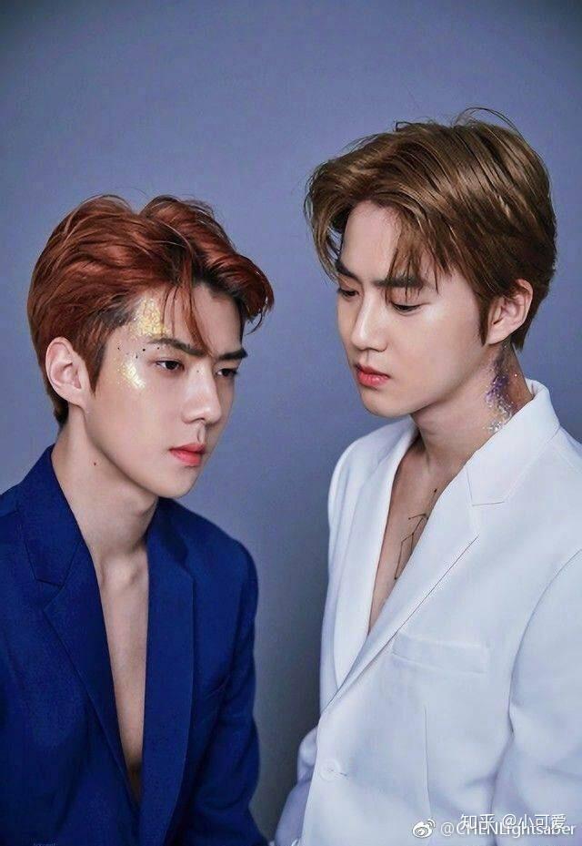 如何看待exo的各个cp灿白城堡勋鹿开度