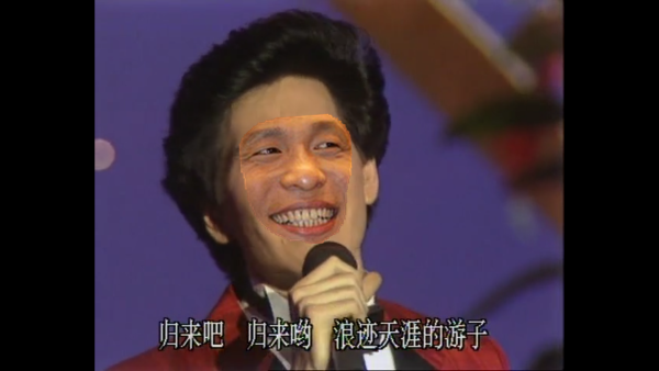 我们想象一下费翔的表演配上一张宋小宝的脸^正如我们之前所说,日本学