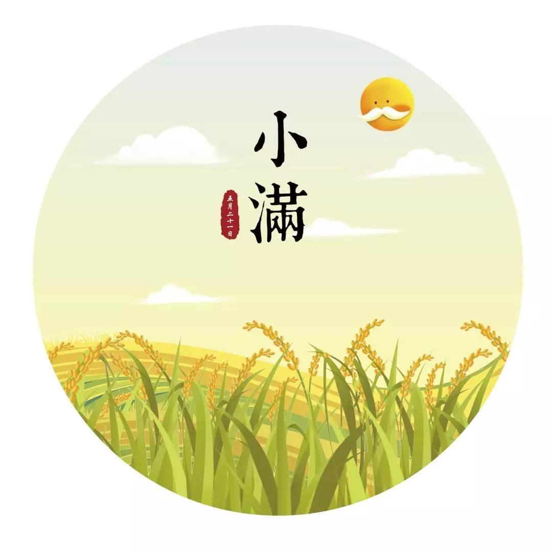 现在是小满吗(小满怎么了) - 医药经