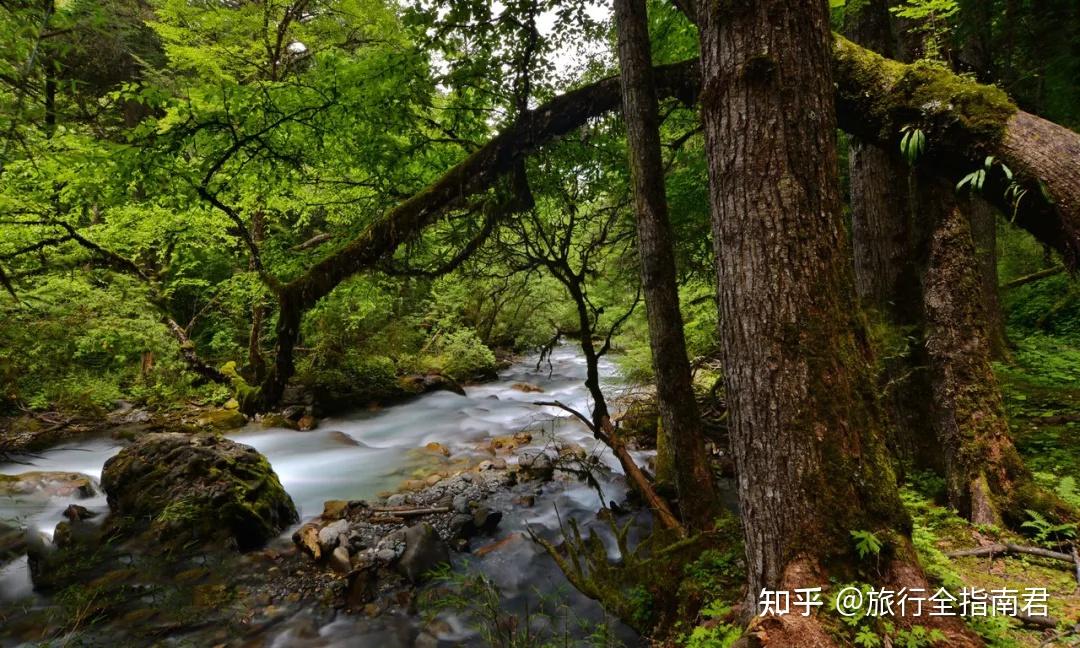 栈道之都,养生天堂——超全四川广元旅游攻略美食大全 - 知乎