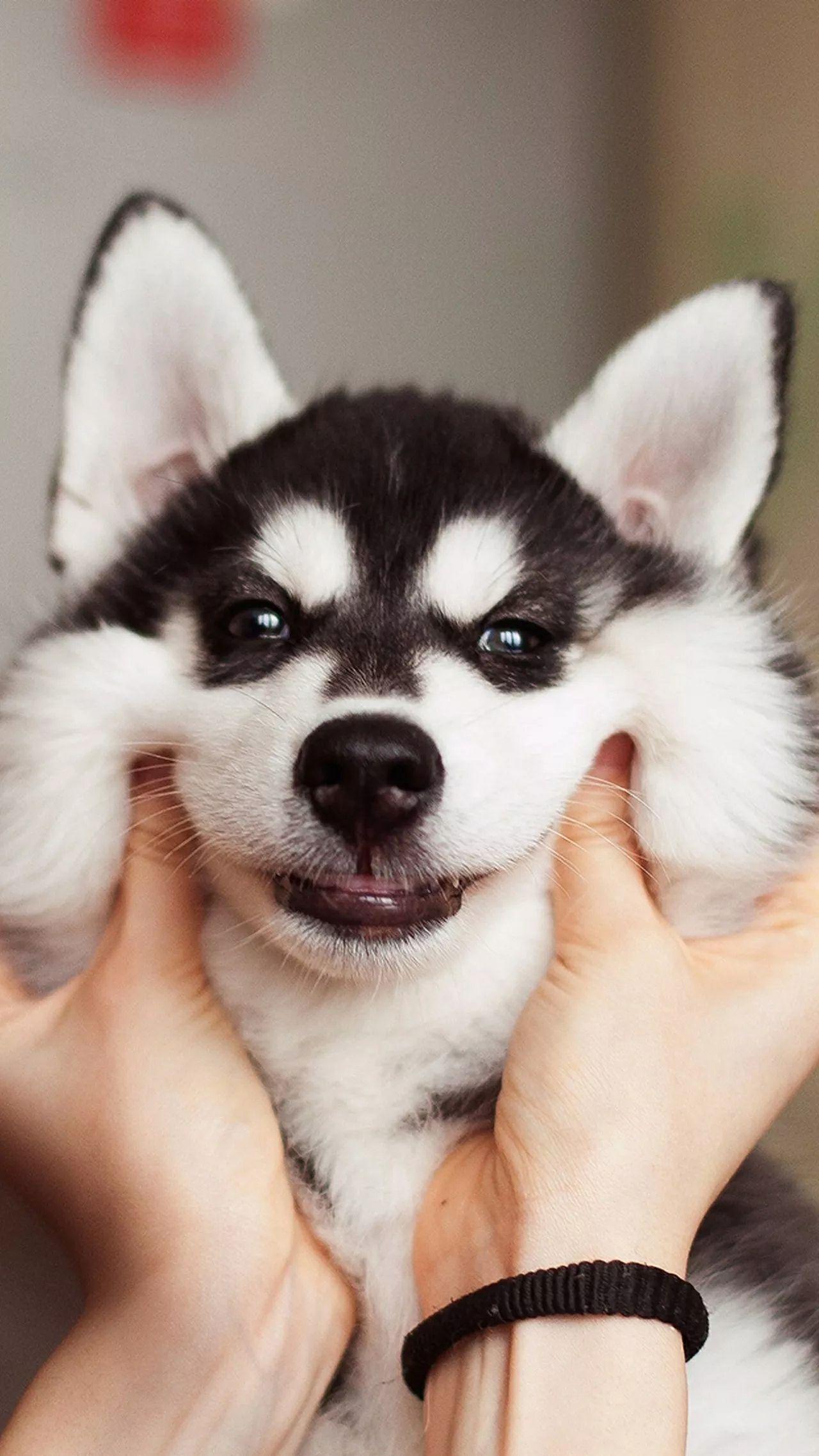 有哪些值得推荐的 qq 聊天背景照片?