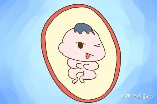 宝宝在肚子里是怎么吃喝拉撒的呢