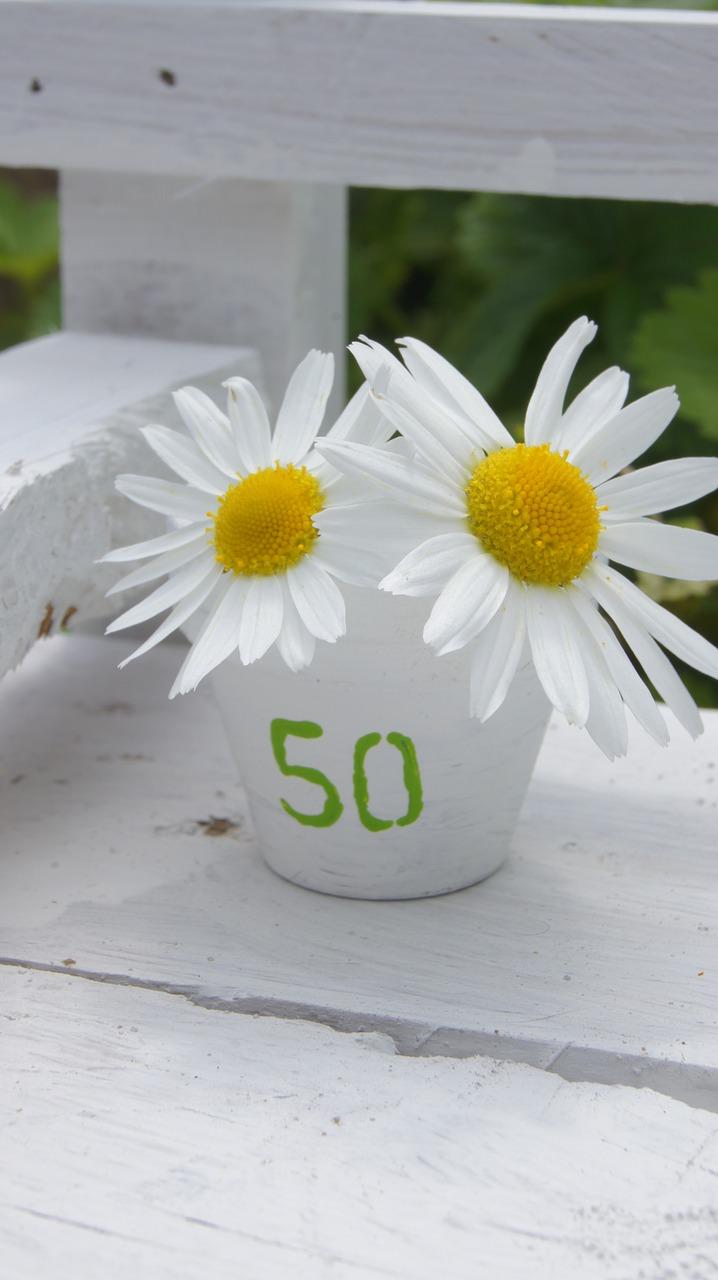 4. 自然光影表现