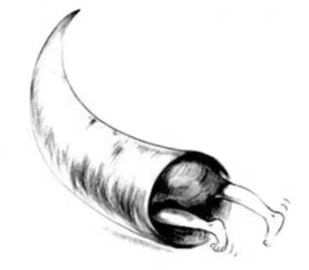 爱钻牛角尖的人有些什么特点? - 知乎