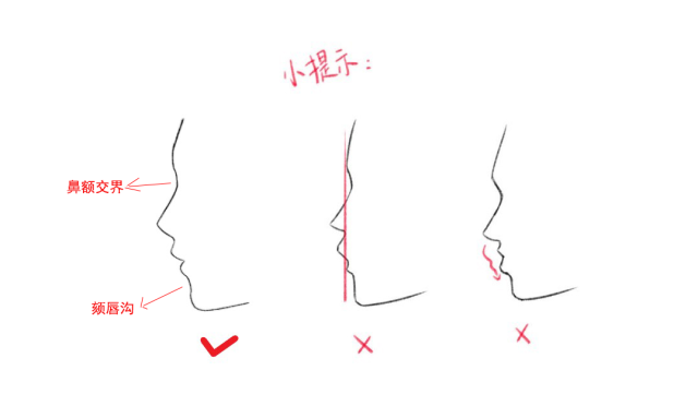 第十九篇:侧脸丨阿汤哥美术教程
