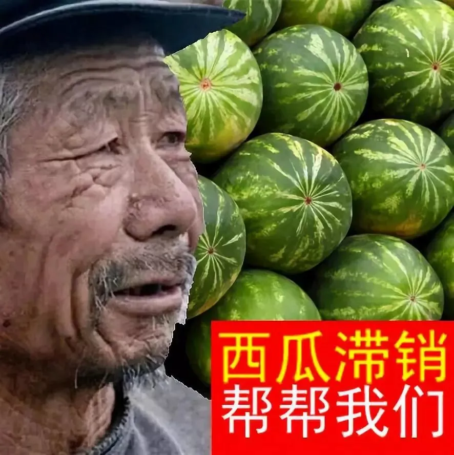 销售端一个西瓜超百元供应商称79月价格也不会下降西瓜涨价原因有哪些