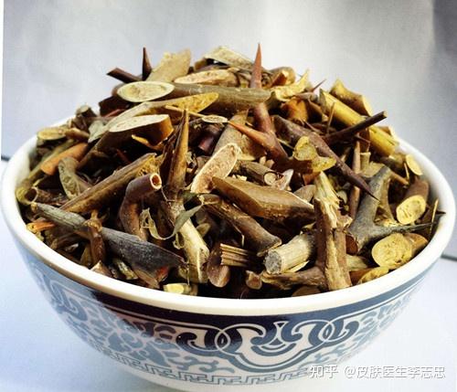 二陈汤合全虫方加减治疗皮肤淀粉样变医案