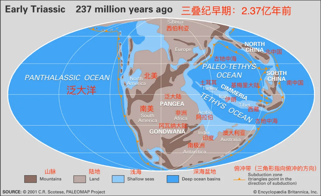 三峡水库的真正危险