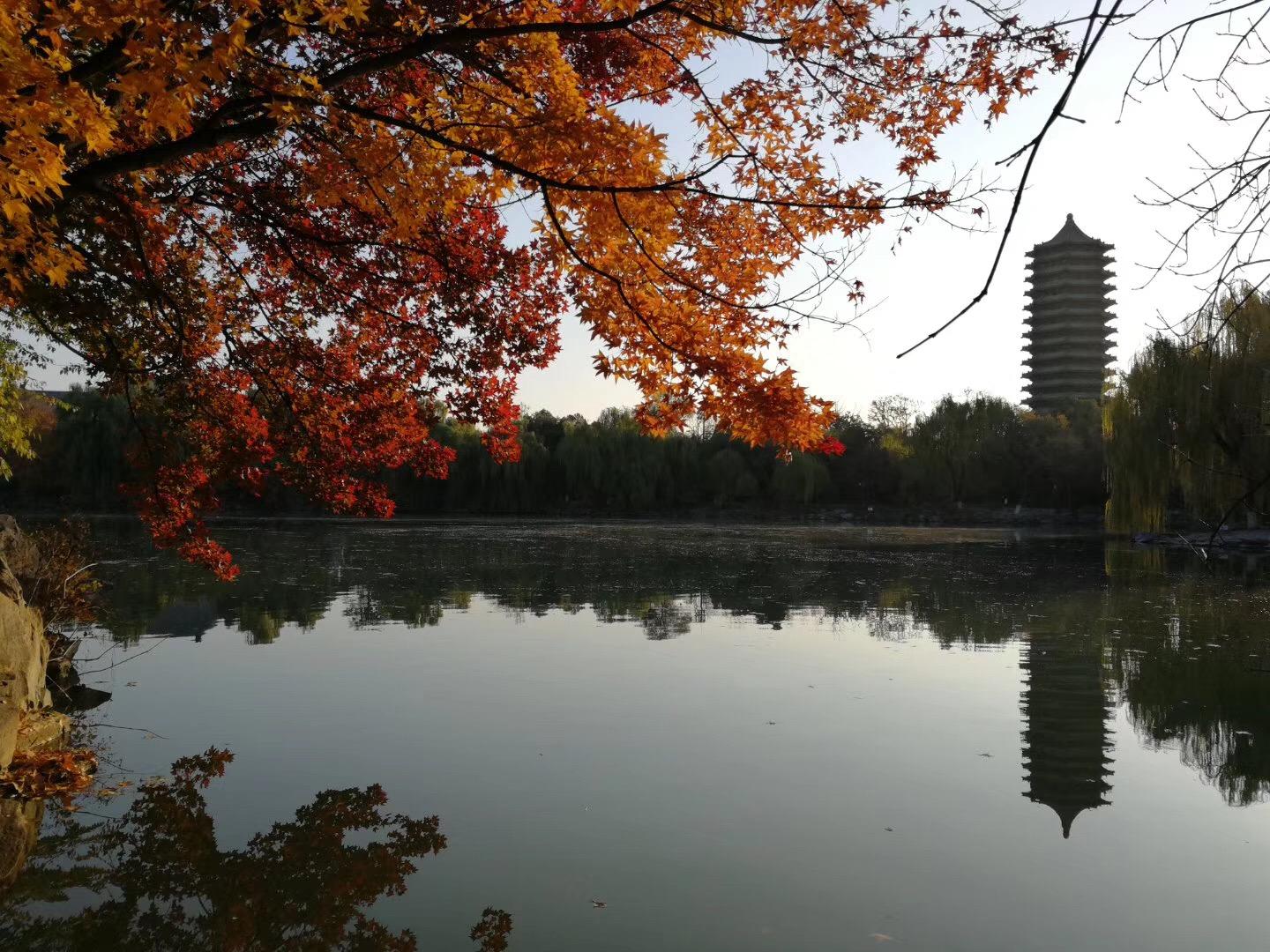 清北学生如果找二本或职高的人谈恋爱,是否显