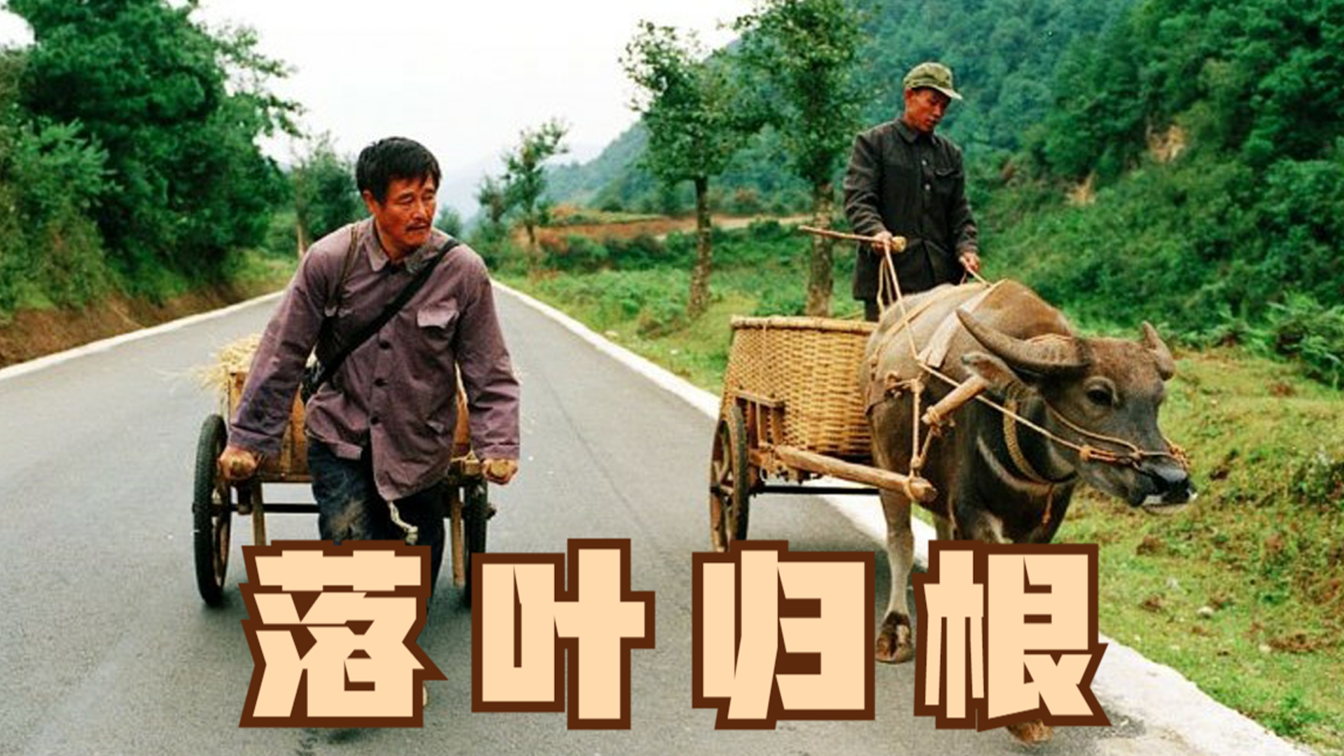 《落叶归根》:赵本山封神之作,真实事件改编,这才是成年人该看的电影!