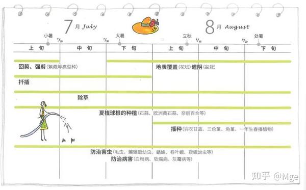 想打造一个属于自己的宿根花园吗 知乎