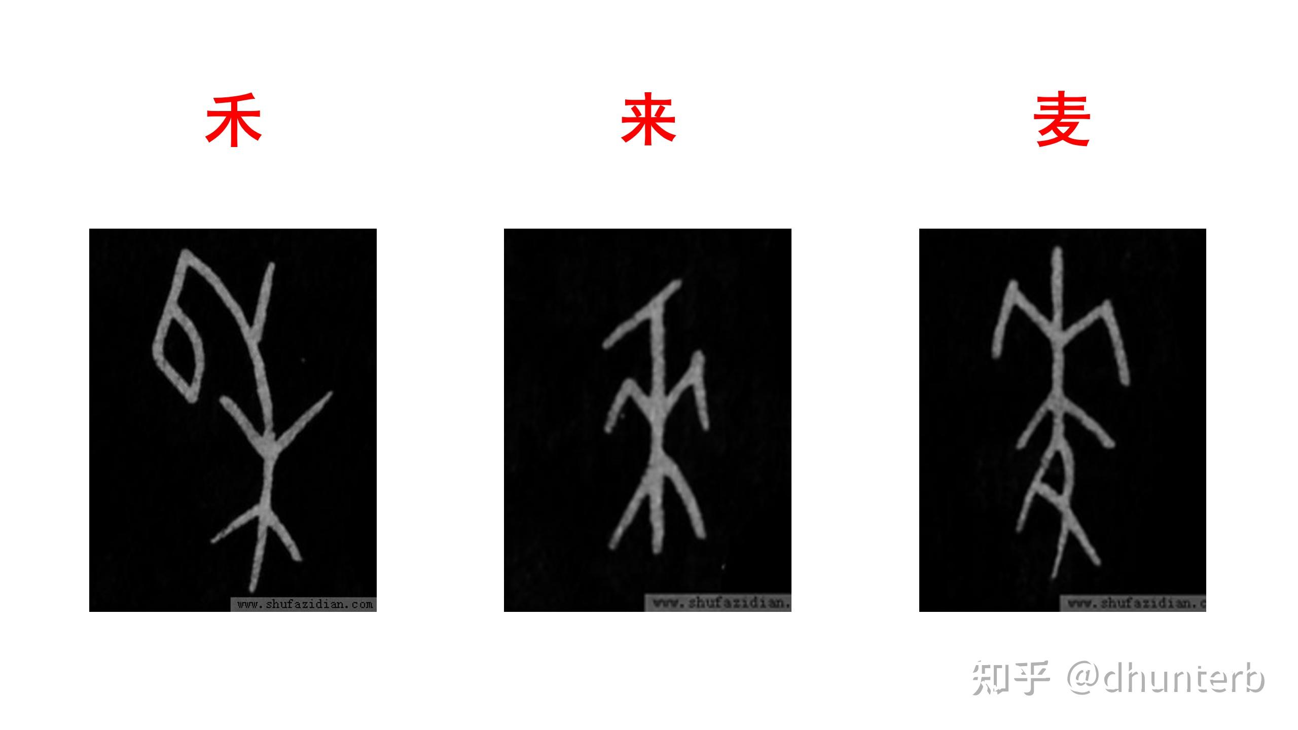 汉字字根与文明源流-农耕文明-1 - 知乎