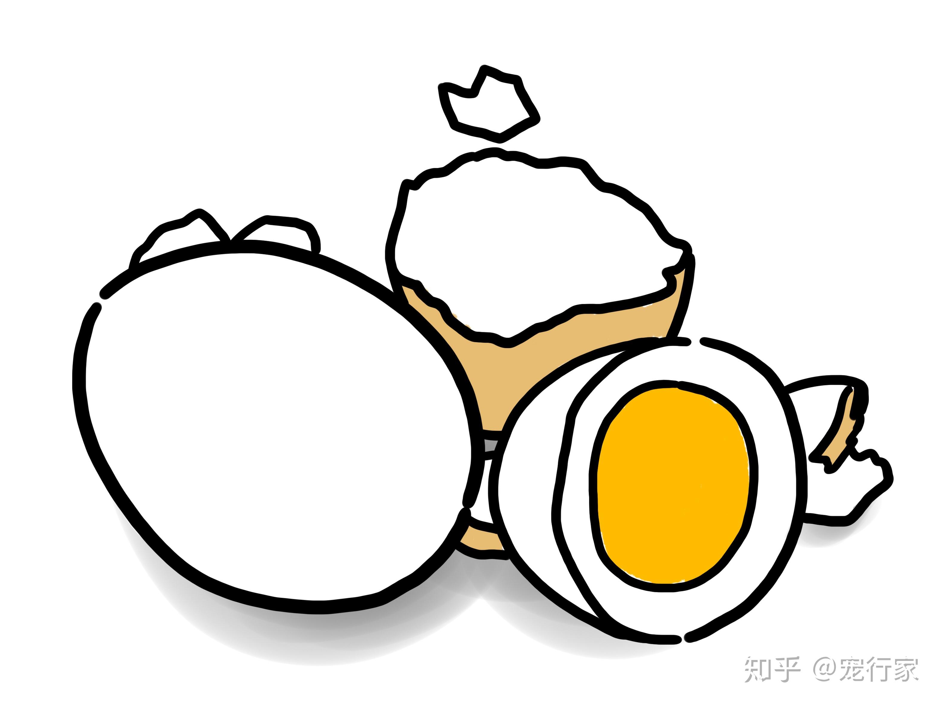 猫不能吃鸡蛋白没有的事鸡蛋对猫非常好喂食方法也很多