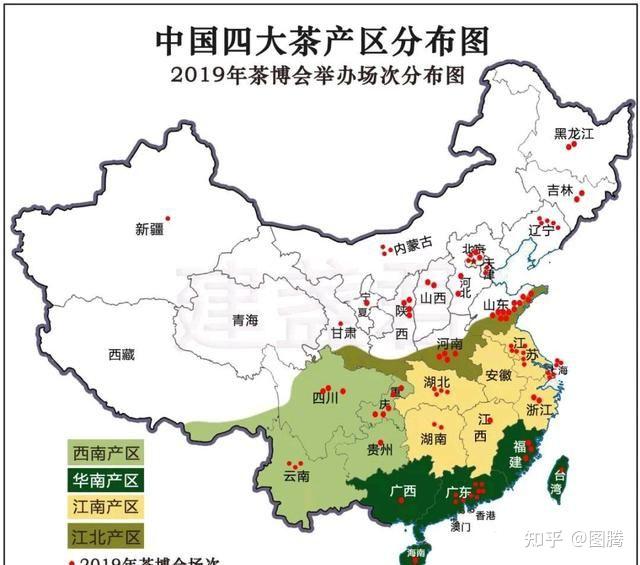 中国有300多种茶树,主要分布在这四大茶区,江北茶区,西南茶区,江南茶