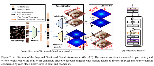 Mask Autoencoder 各类变体 - 知乎