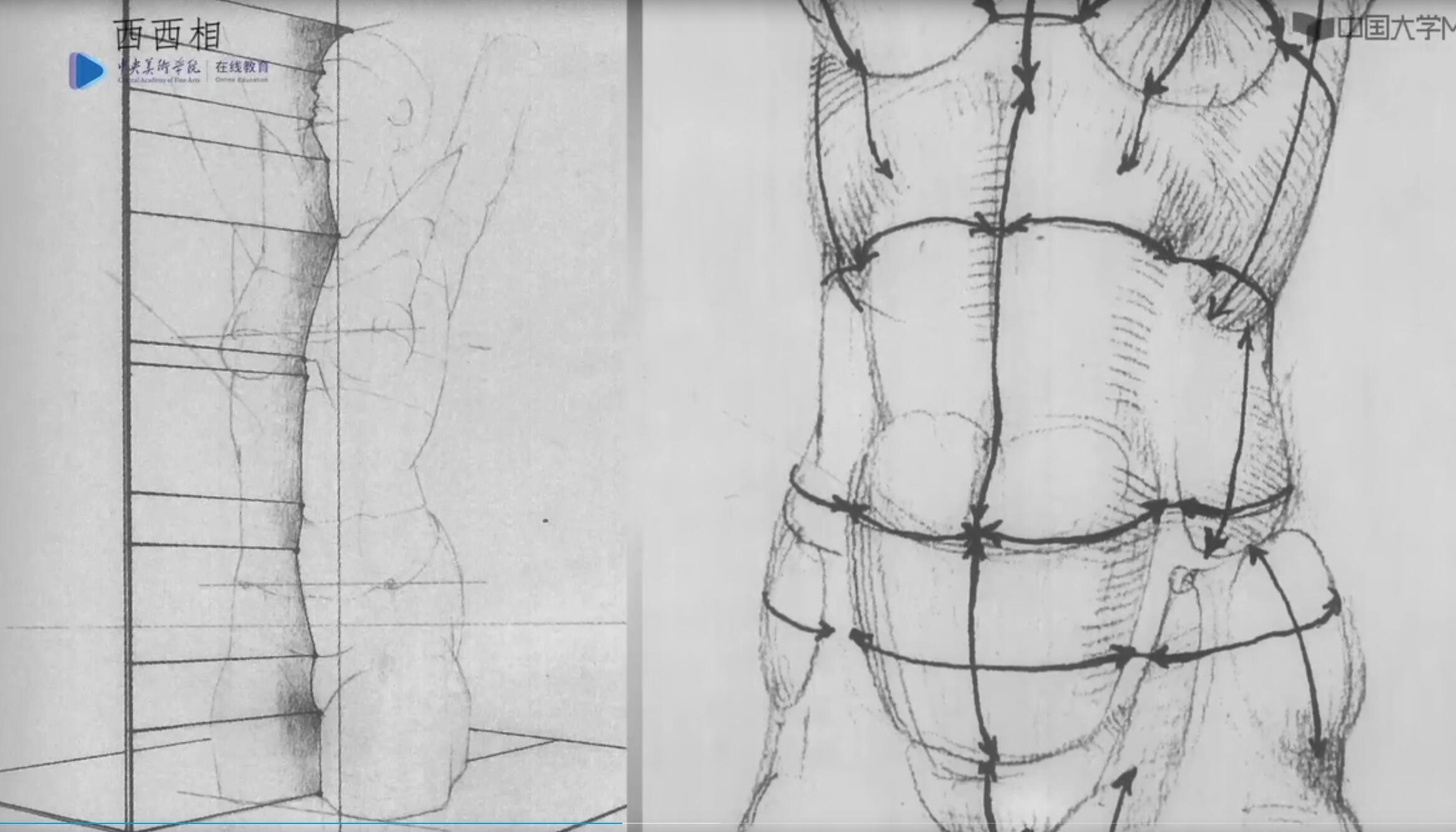 伯里曼人体结构绘画教学电子扫描版[全书] 12/14 - 美术插画