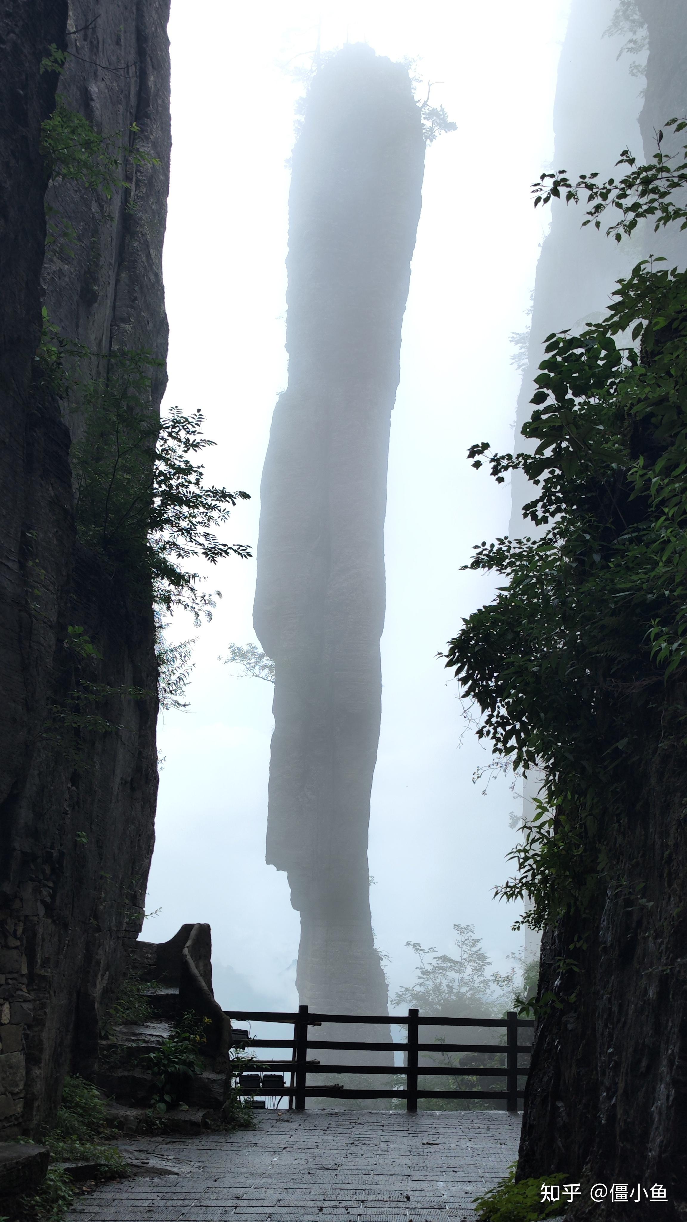 大美庐山：庐山瀑布：中国山水文化浓墨重彩的折射