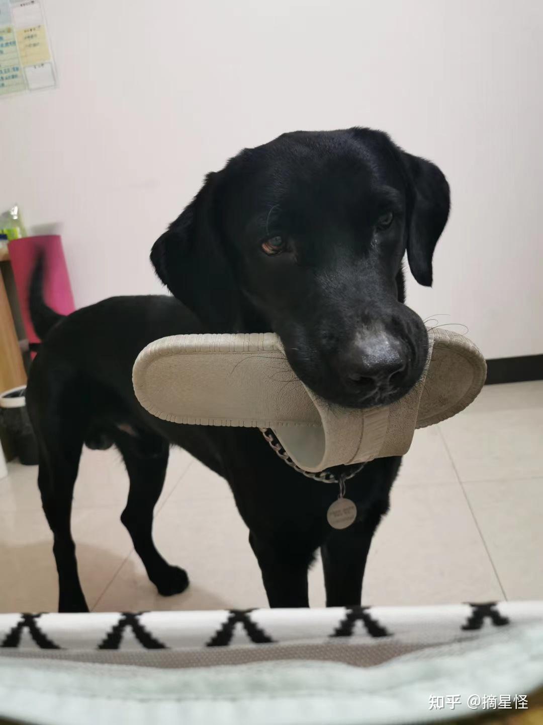 石头人躺地上装死按什么键 v2-00db82381ef5021376528cd8eec0fd60_r.jpg