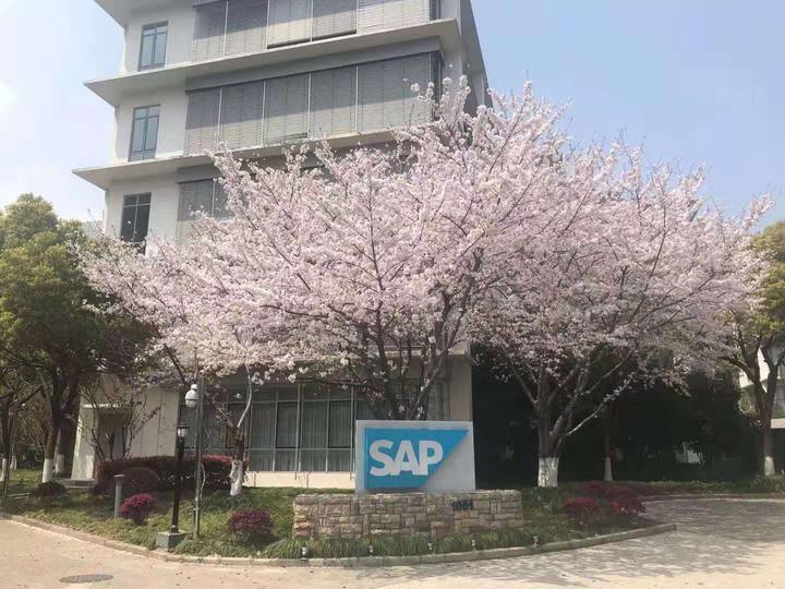 sap-hana-schemas-hdi-containers