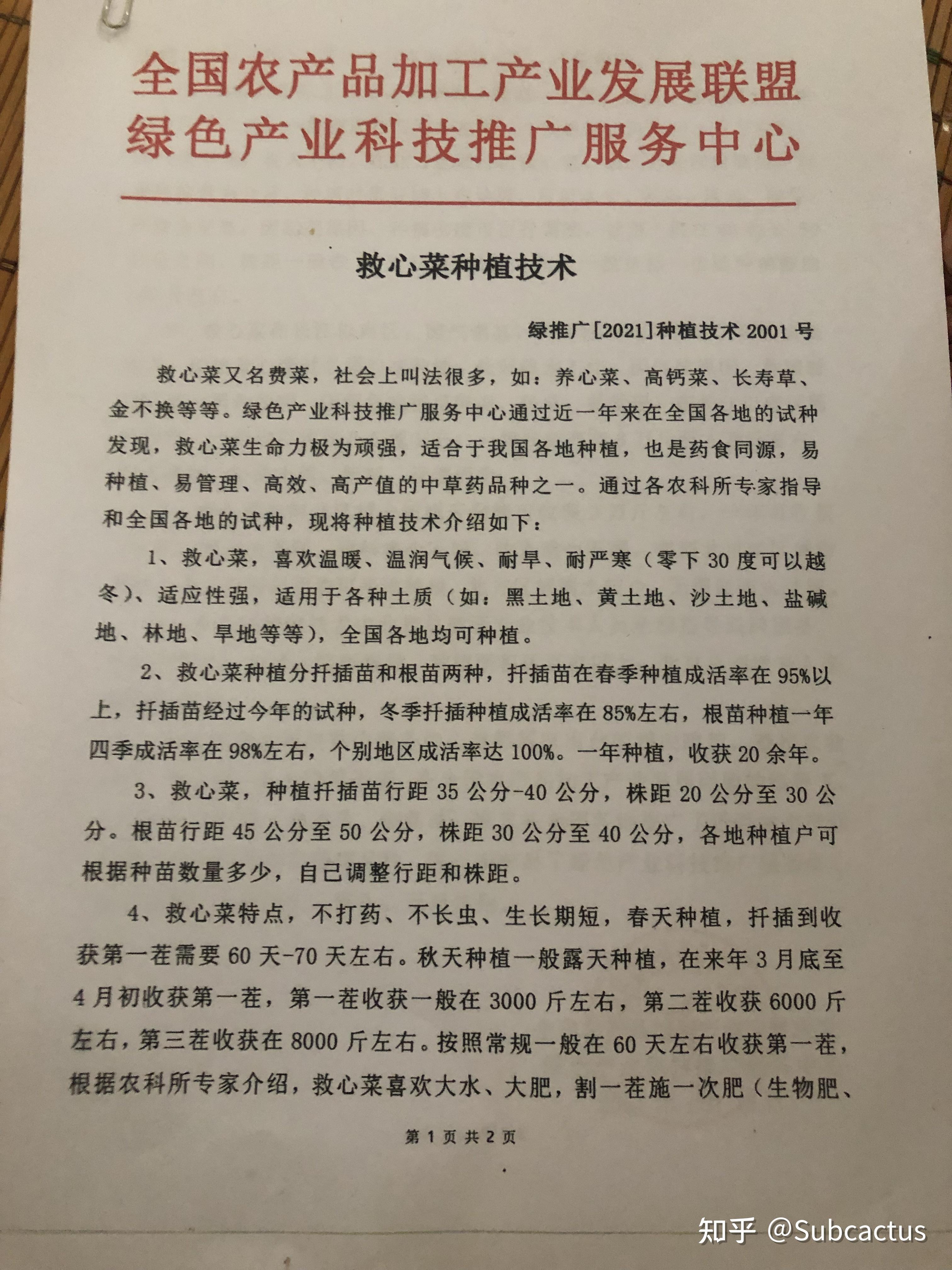 救心菜在农村的推广靠谱吗是不是骗局