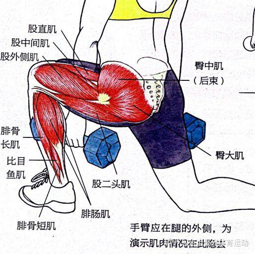 深圳体能培训:弓步(单腿前蹲) - 知乎