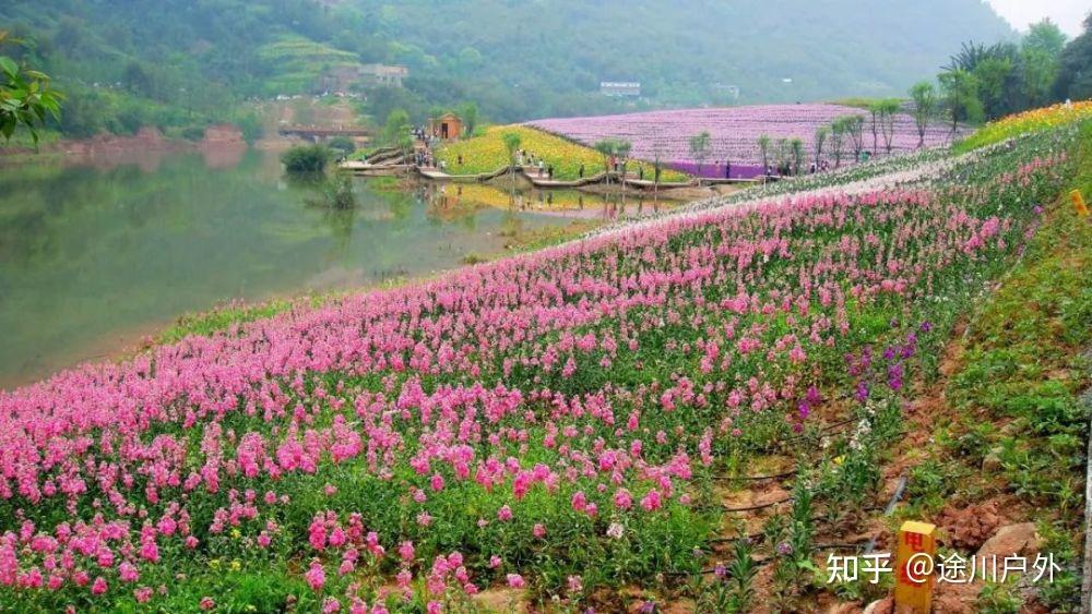 高铁1.5h跑拢!四川这座千年江城,美食美景无数!终于藏不住了!