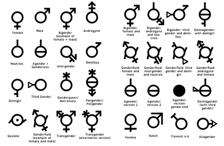 他和她之外 - 关于gender pronoun - 知乎