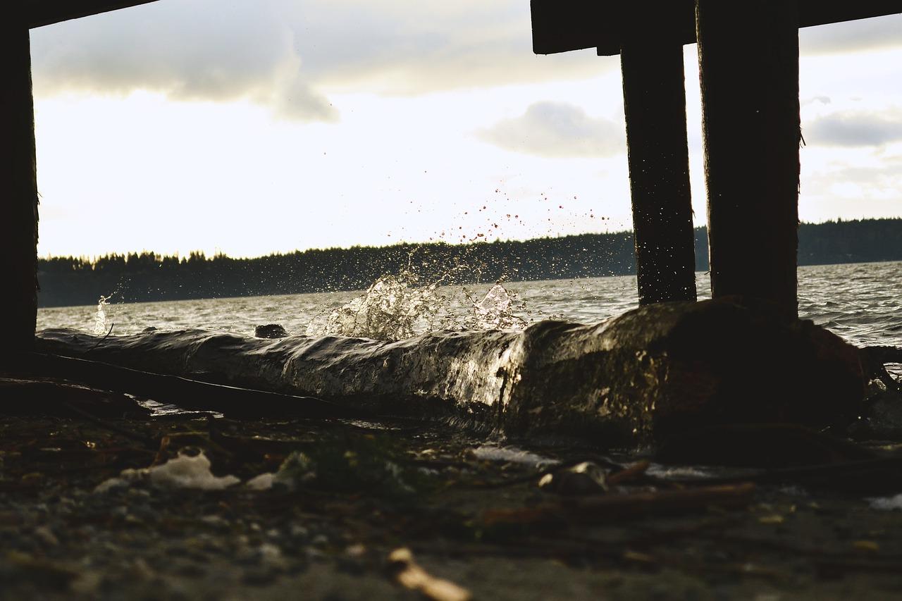 市场供需关系分析