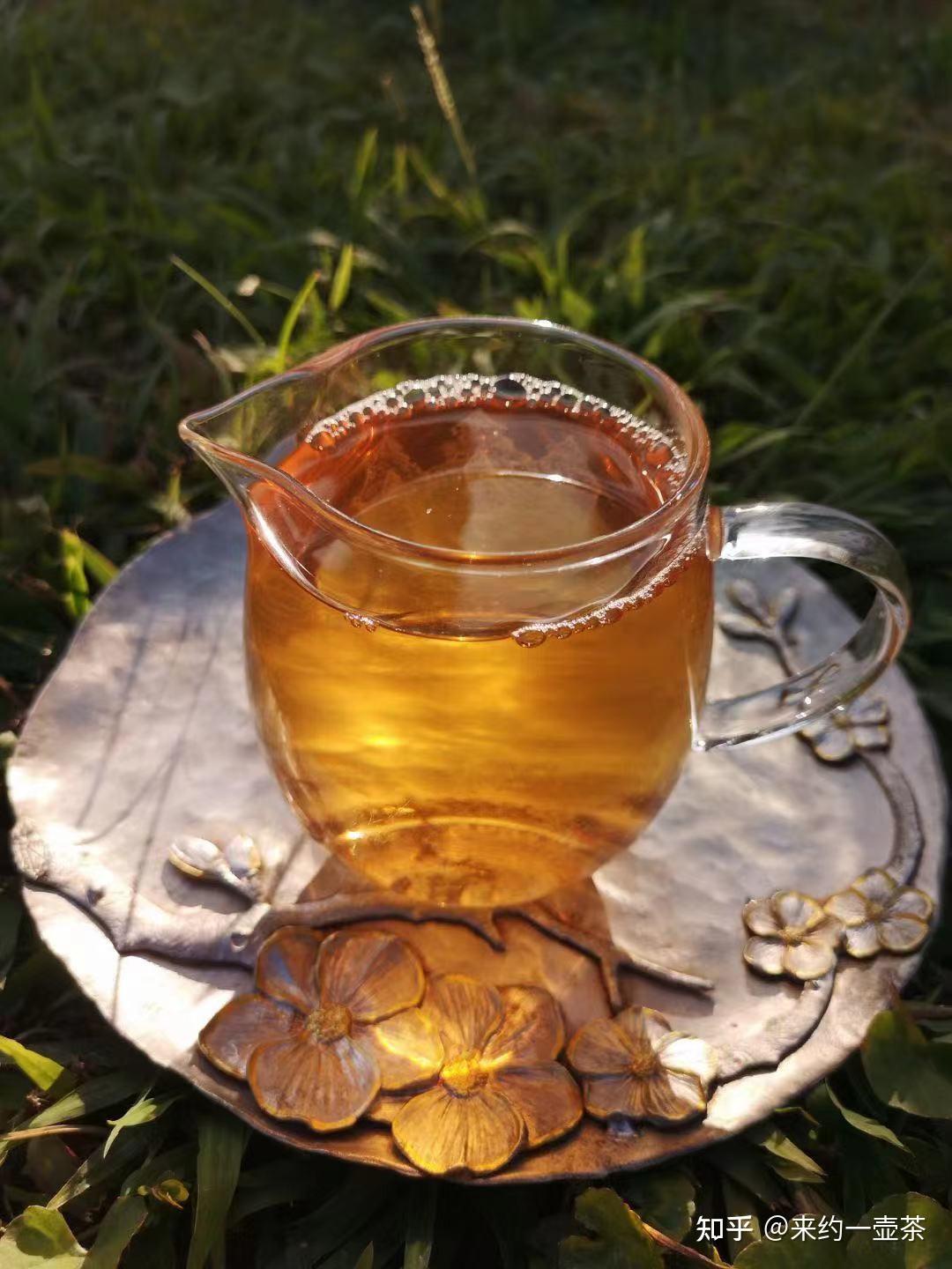 西双版纳10个经典茶区的茶,你喝过几个?